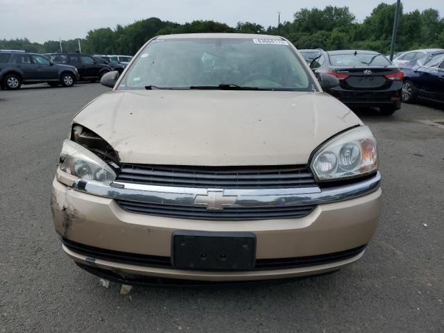 1G1ZT62835F127892 - 2005 CHEVROLET MALIBU MAXX LS 金色 照片 5