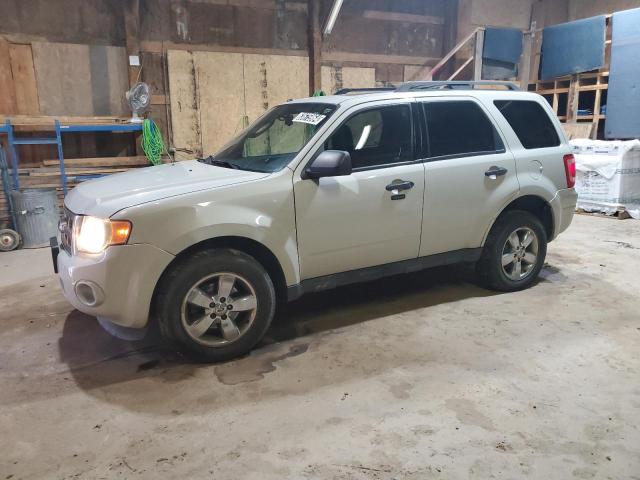 2009 FORD ESCAPE XLT, 