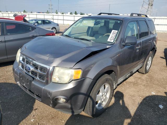 2010 FORD ESCAPE XLT, 