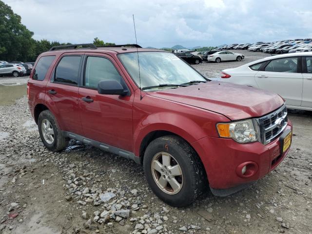 1FMCU9D71BKA04719 - 2011 FORD ESCAPE XLT RED photo 4