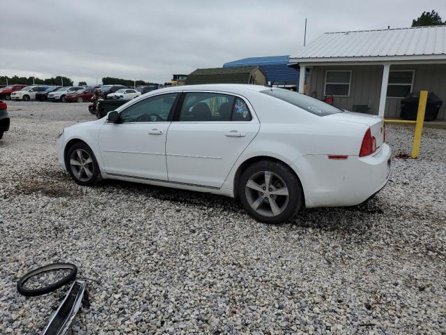 1G1ZC5EU3BF369712 - 2011 CHEVROLET MALIBU 1LT 白色 照片 2
