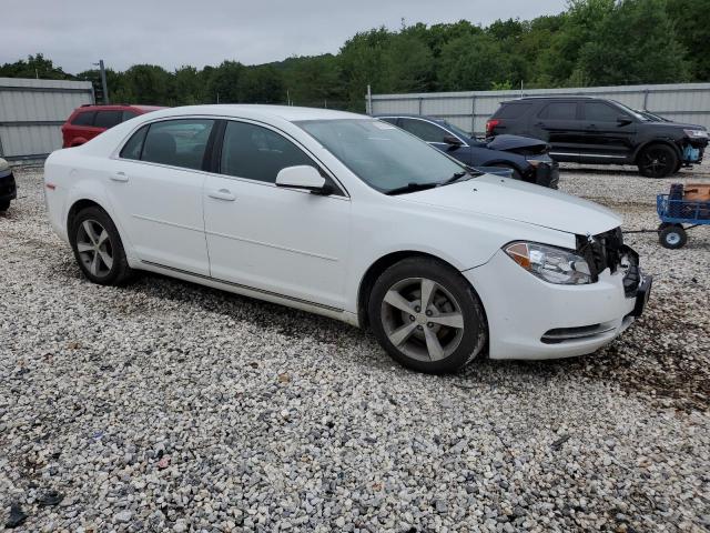 1G1ZC5EU3BF369712 - 2011 CHEVROLET MALIBU 1LT 白色 照片 4