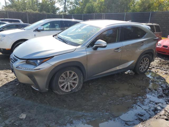 JTJDARBZ4M2198927 - 2021 LEXUS NX 300 BASE Gümüş foto 1