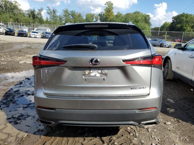 JTJDARBZ4M2198927 - 2021 LEXUS NX 300 BASE Gümüş foto 6