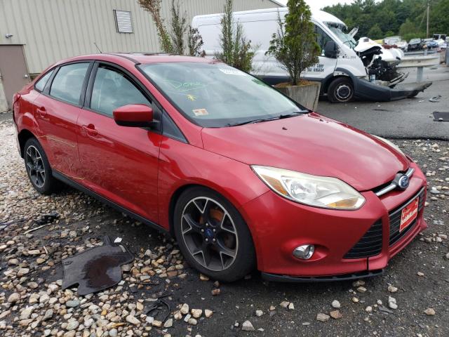 1FAHP3F24CL264601 - 2012 FORD FOCUS SE RED photo 4