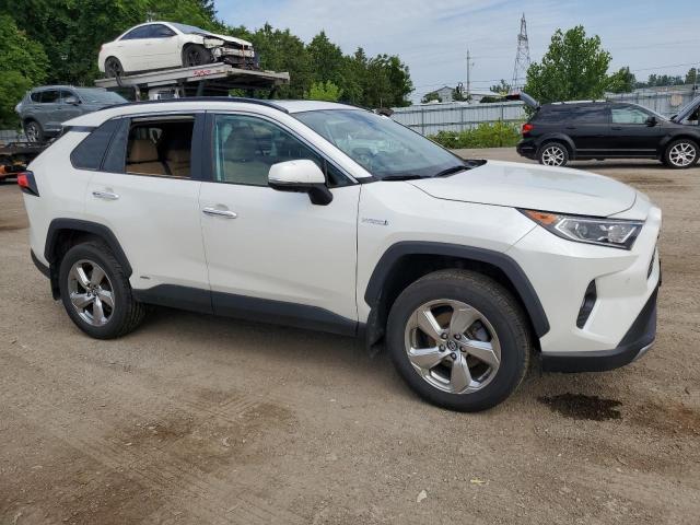 2T3DWRFV7KW042168 - 2019 TOYOTA RAV4 LIMITED أبيض صورة 4