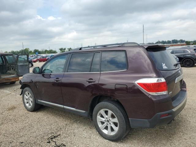 5TDBK3EH9CS099888 - 2012 TOYOTA HIGHLANDER BASE Bordo foto 2
