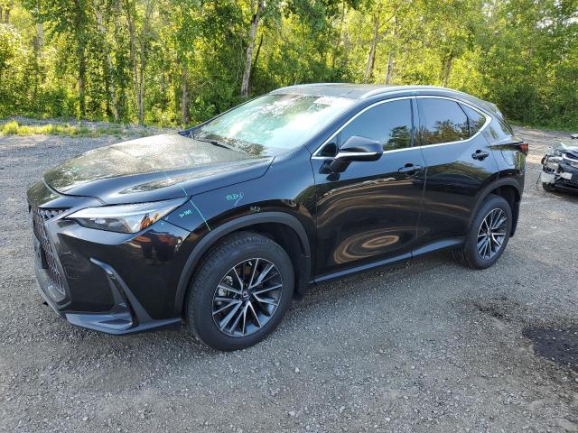 2023 LEXUS NX 350H, 