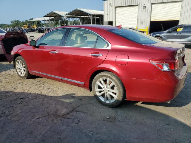 JTHBK1EG3A2384424 - 2010 LEXUS ES 350 RED photo 2