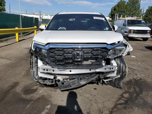 5FNYF8H50PB041028 - 2023 HONDA PASSPORT EXL أبيض صورة 5