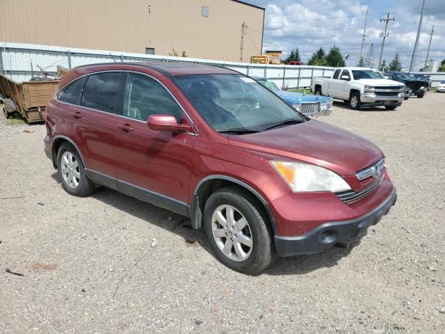 JHLRE48707C029768 - 2007 HONDA CR-V EXL BURGUNDY photo 4