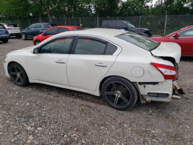 1N4AA5AP9BC802645 - 2011 NISSAN MAXIMA S WHITE photo 2