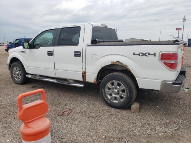 1FTPW14V19FA94599 - 2009 FORD F150 SUPERCREW WHITE photo 2