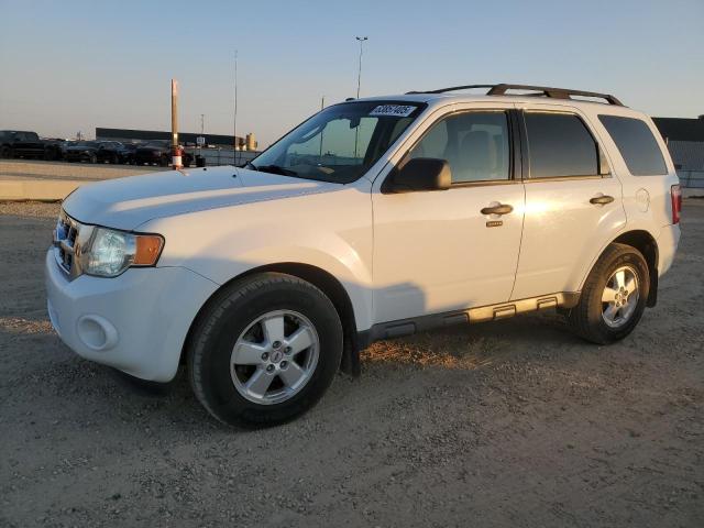 2010 FORD ESCAPE XLT, 