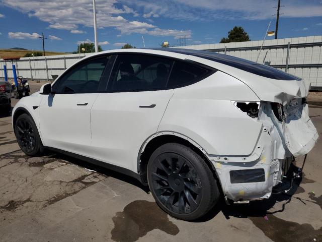5YJYGDEE6MF075044 - 2021 TESLA MODEL Y WHITE photo 2