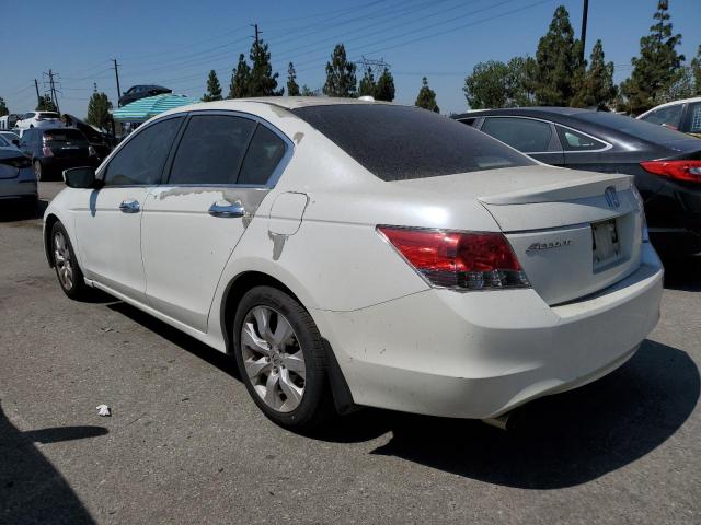 5KBCP3F87AB018152 - 2010 HONDA ACCORD EXL WHITE photo 2