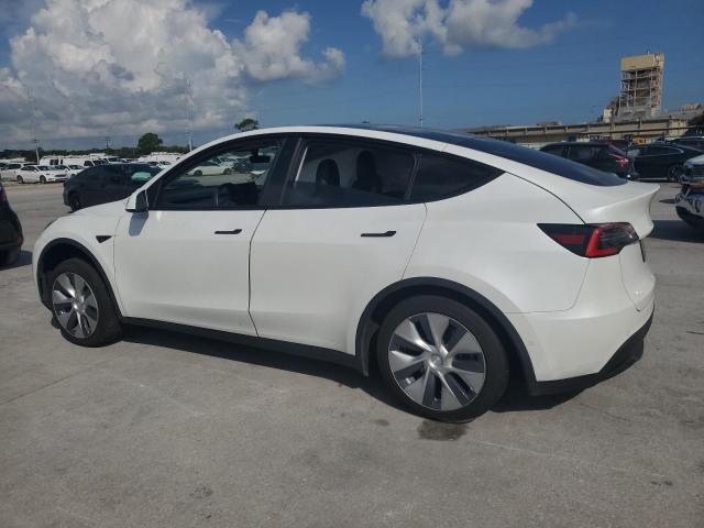 5YJYGDEEXMF067142 - 2021 TESLA MODEL Y 白色 照片 2