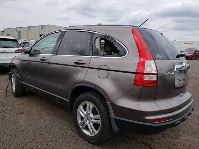 5J6RE4H74AL097215 - 2010 HONDA CR-V EXL BROWN photo 2