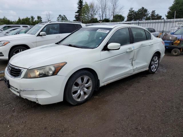 2010 HONDA ACCORD EXL, 