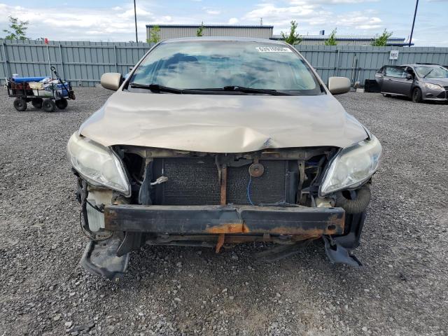 2T1BU4EE2AC492370 - 2010 TOYOTA COROLLA BASE Коричневый фото 5