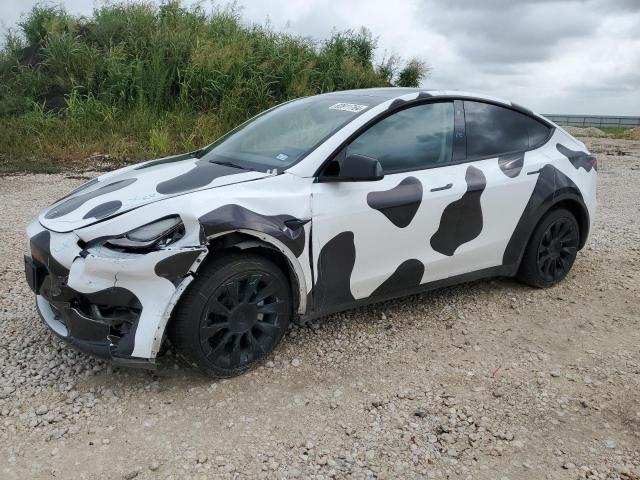 2022 TESLA MODEL Y, null