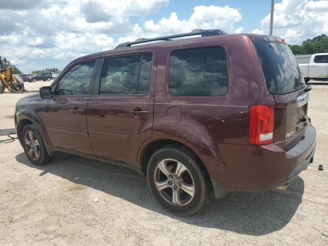 5FNYF4H68DB066286 - 2013 HONDA PILOT EXL Bordo foto 2