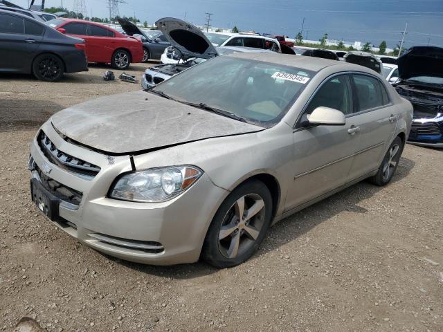2009 CHEVROLET MALIBU 2LT, 