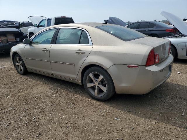 1G1ZJ57B19F155832 - 2009 CHEVROLET MALIBU 2LT GOLD photo 2