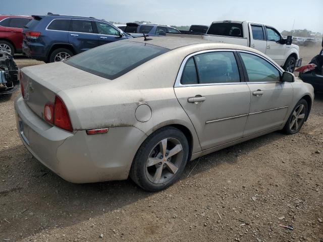 1G1ZJ57B19F155832 - 2009 CHEVROLET MALIBU 2LT GOLD photo 3