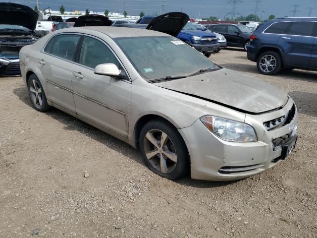 1G1ZJ57B19F155832 - 2009 CHEVROLET MALIBU 2LT GOLD photo 4