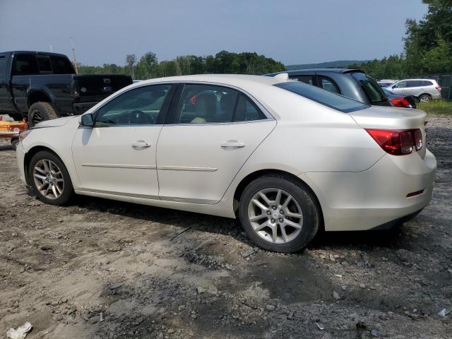 1G11C5SL7EF263311 - 2014 CHEVROLET MALIBU 1LT 白色 照片 2