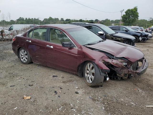 1HGCP36818A079323 - 2008 HONDA ACCORD EXL BURGUNDY photo 4