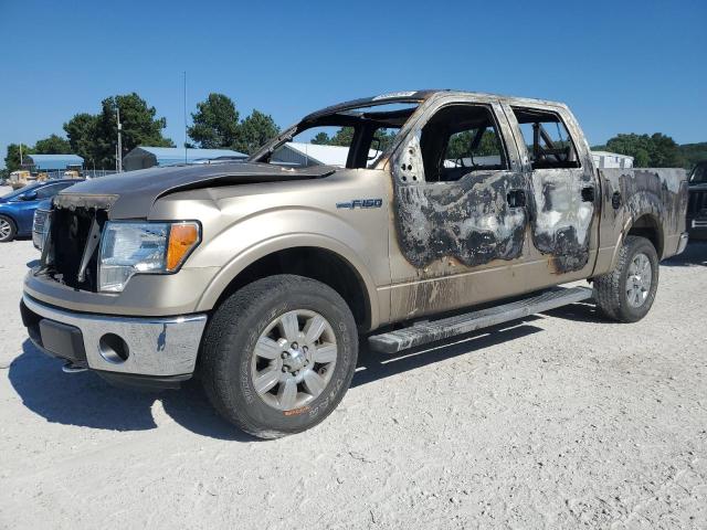 1FTFW1E61BFA04098 - 2011 FORD F150 SUPERCREW BURN photo 1