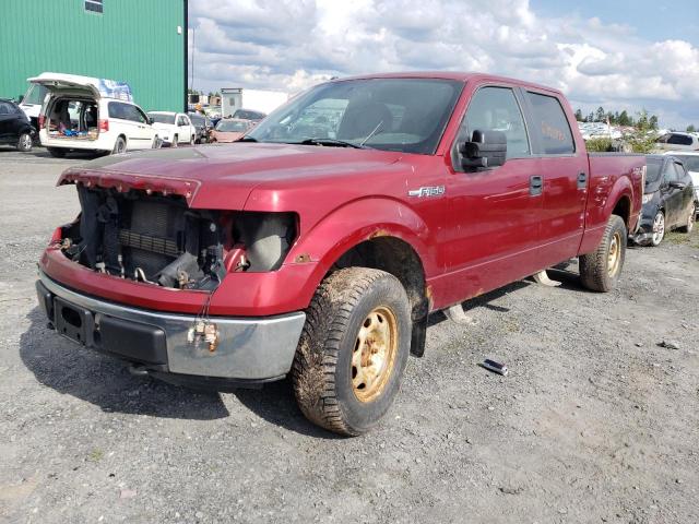 1FTFW1EF0DFC90092 - 2013 FORD F150 SUPERCREW RED photo 1