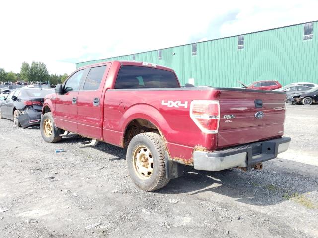 1FTFW1EF0DFC90092 - 2013 FORD F150 SUPERCREW RED photo 2