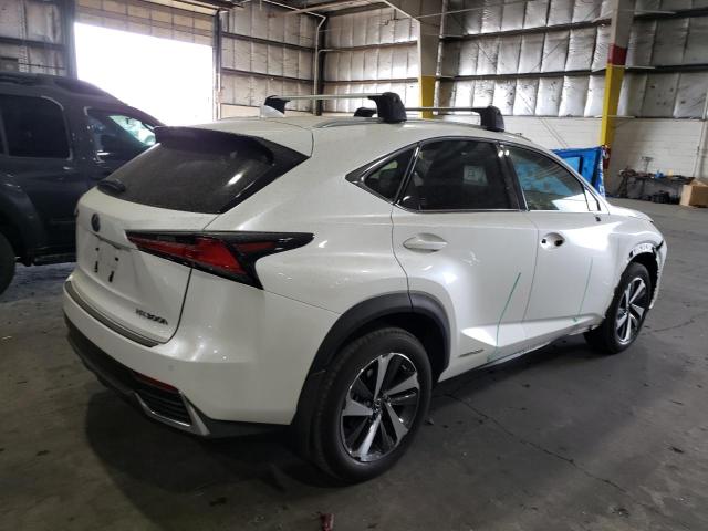 JTJBJRBZ0K2114588 - 2019 LEXUS NX 300H WHITE photo 3