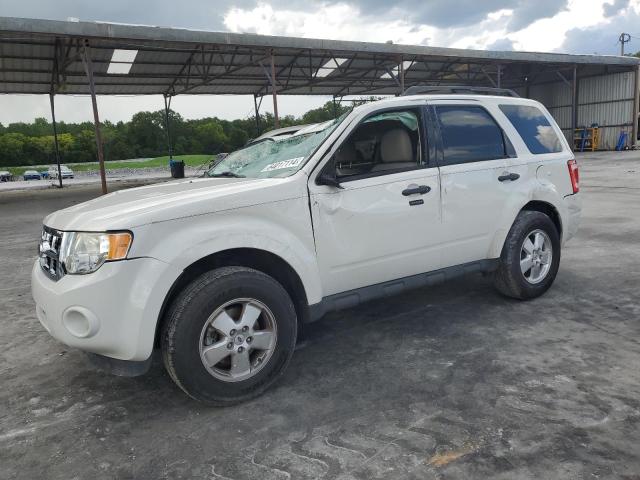 2011 FORD ESCAPE XLT, 