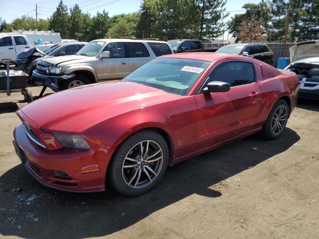 1ZVBP8AM0E5257526 - 2014 FORD MUSTANG RED photo 1