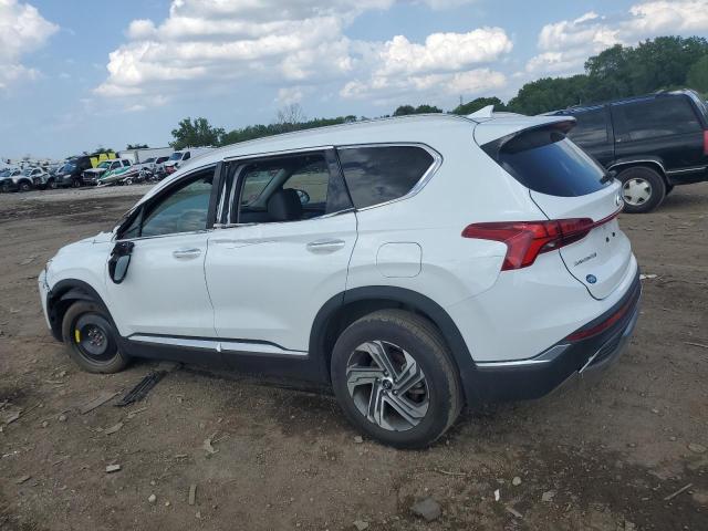 5NMS34AJ2NH434880 - 2022 HYUNDAI SANTA FE SEL 白色 照片 2