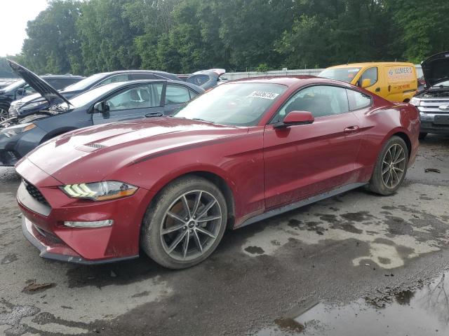 2019 FORD MUSTANG, 