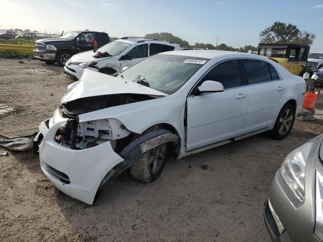 1G1ZC5E17BF204803 - 2011 CHEVROLET MALIBU 1LT 白色 照片 1