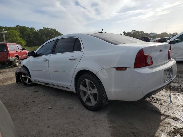 1G1ZC5E17BF204803 - 2011 CHEVROLET MALIBU 1LT 白色 照片 2