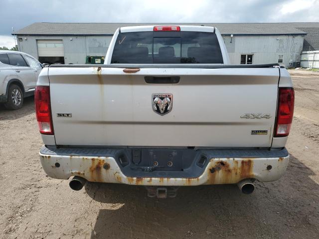 1D7RV1CT8AS226738 - 2010 DODGE RAM 1500 SILVER photo 6