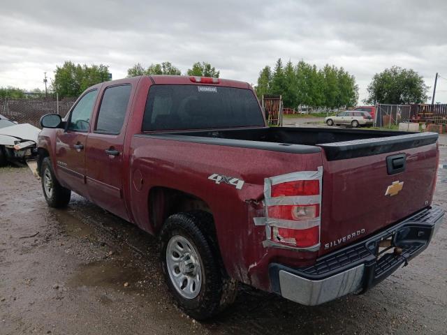 3GCPKREA8DG202259 - 2013 CHEVROLET SILVERADO K1500 LS 栗色 照片 2