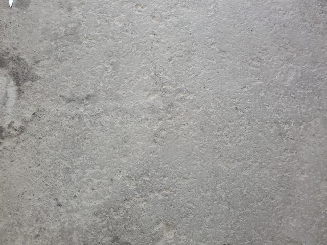 5TELU42N99Z607934 - 2009 TOYOTA TACOMA DOUBLE CAB Biały zdjęcie 13