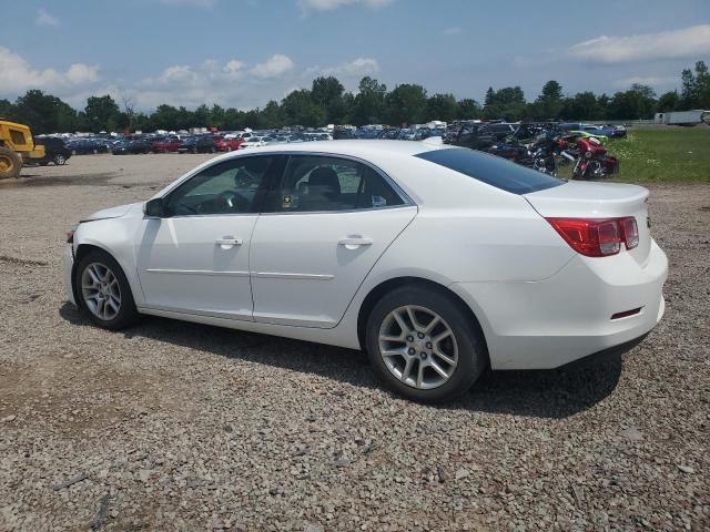 1G11C5SL7EF181790 - 2014 CHEVROLET MALIBU 1LT 白色 照片 2