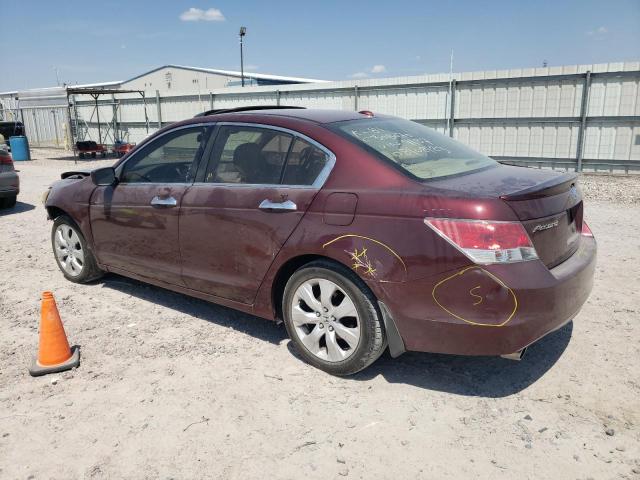 1HGCP368X8A089137 - 2008 HONDA ACCORD EXL BURGUNDY photo 2