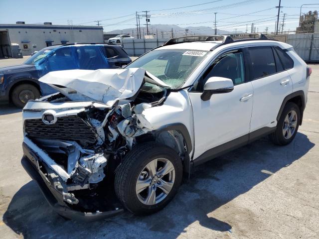 2025 TOYOTA RAV4 XLE, 