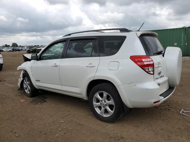 JTMDK4DV8A5084873 - 2010 TOYOTA RAV4 LIMITED WHITE photo 2