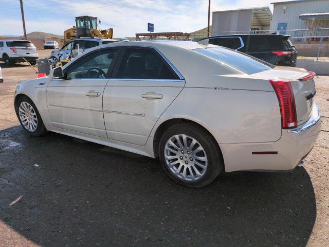 1G6DL5EV0A0129466 - 2010 CADILLAC CTS PERFORMANCE COLLECTION Krem foto 2